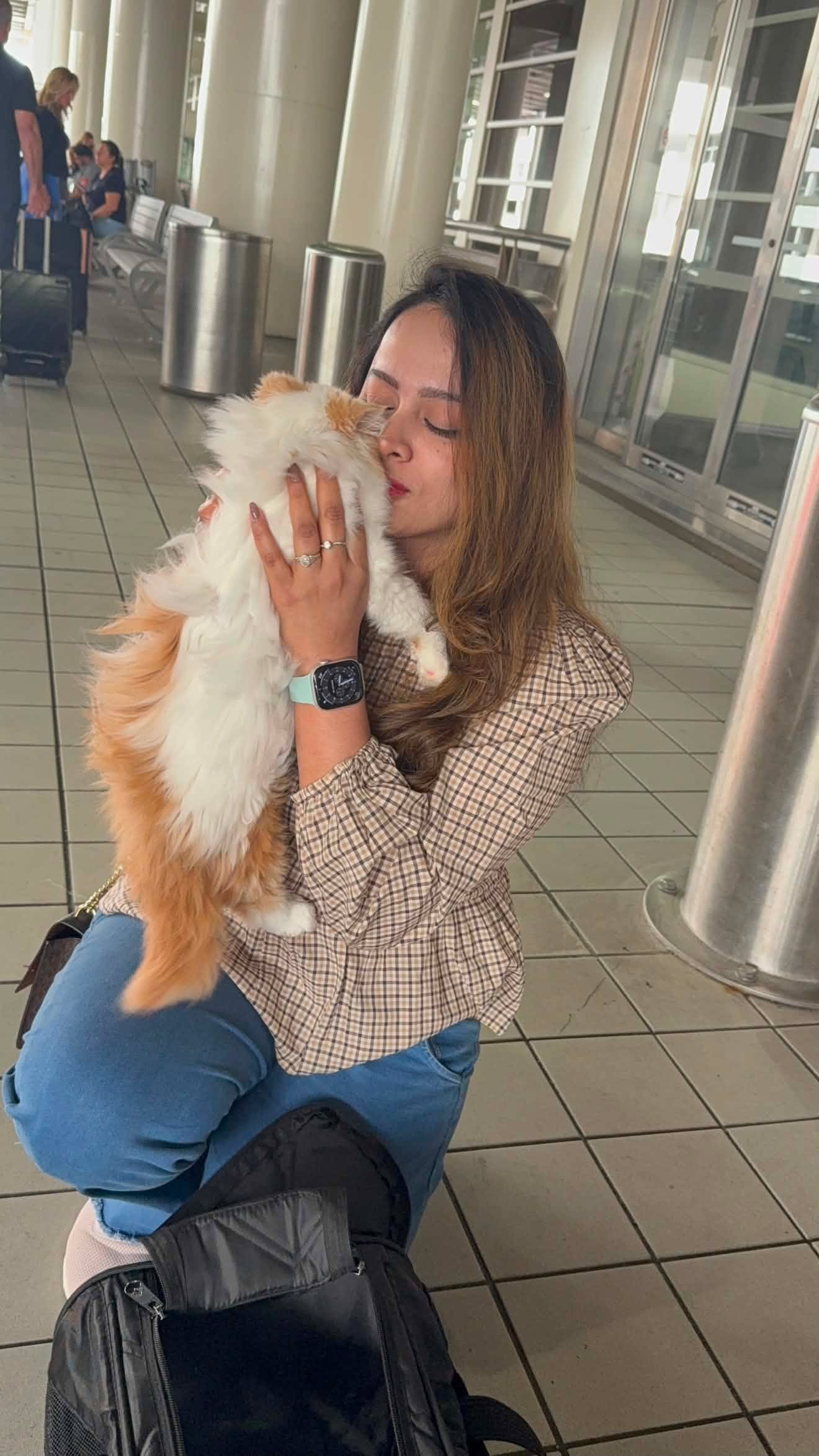 Pixie the calico Persian kitten with her new family — adopted from ASF Cattery Florida
